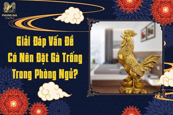 Giải Đáp Vấn Đề Có Nên Đặt Gà Trống Trong Phòng Ngủ