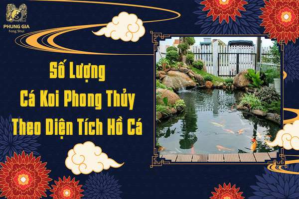 Số Lượng Cá Koi Theo Phong Thủy Diện Tích Hồ Cá