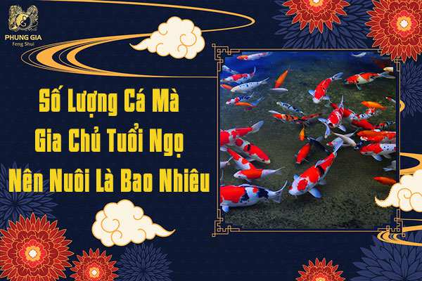 Số Lượng Cá Nên Nuôi Là Bao Nhiêu