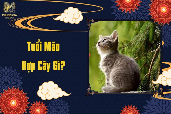 Tuổi Mão Nên Trồng Cây Gì