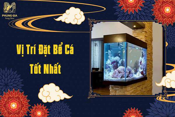 Vị Trí Đặt Bể Cá Tốt Nhất