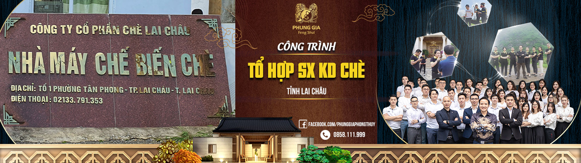 Tổ Hợp Sản Xuất Kinh Doanh Chè
