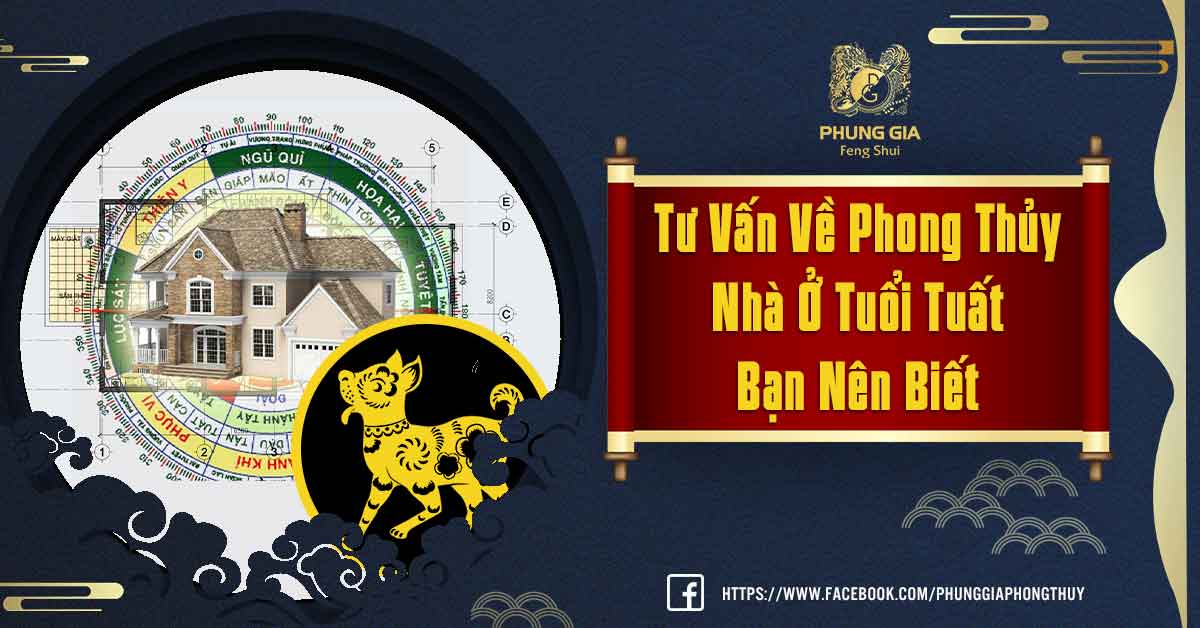 Phong Thủy Nhà Ở Tuổi Tuất