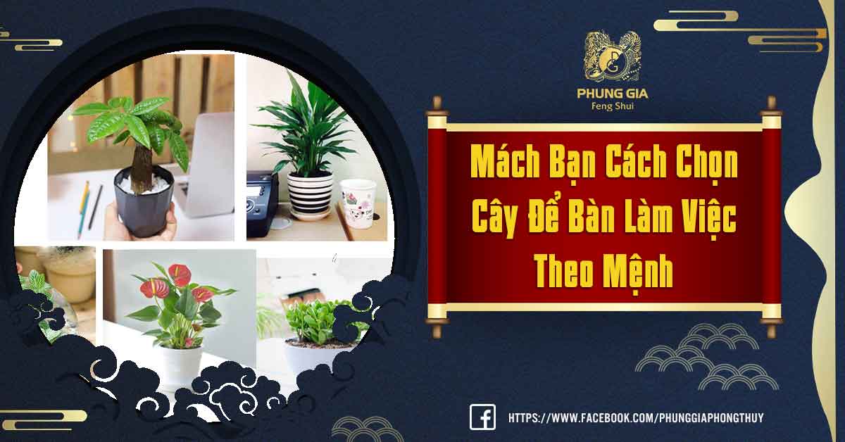Cây Để Bàn Làm Việc Theo Mệnh