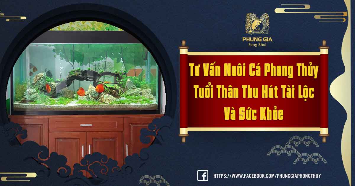 Tư Vấn Nuôi Cá Phong Thủy Tuổi Thân