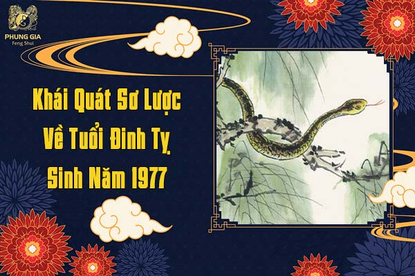 Khái Quát Sơ Lược Về Tuổi Đinh Tỵ