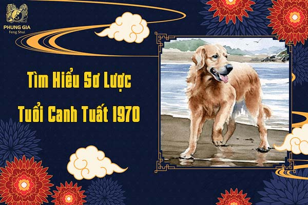 Tìm Hiểu Sơ Lược Tuổi Canh Tuất