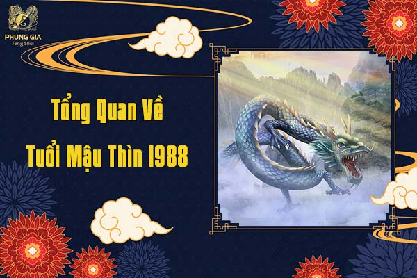 Tổng Quan Về Tuổi Mậu Thìn 1988