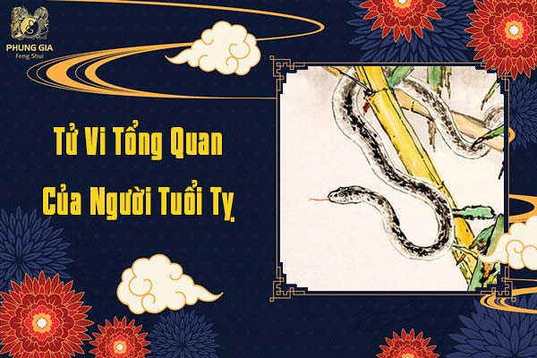 Tử Vi Tổng Quan Của Tuổi Tỵ