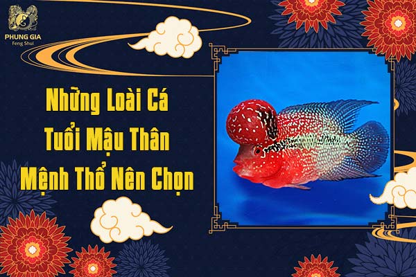 Những Loại Cá Tuổi Mậu Thân Mệnh Thổ Nên Chọn