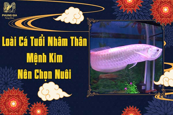 Loại Cá Tuổi Nhâm Thân Mệnh Kim Nên Chọn Nuôi