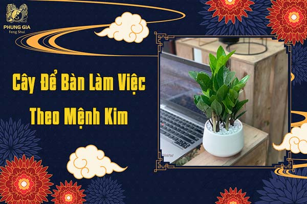 Cây Để Bàn Làm Việc Theo Mệnh Kim