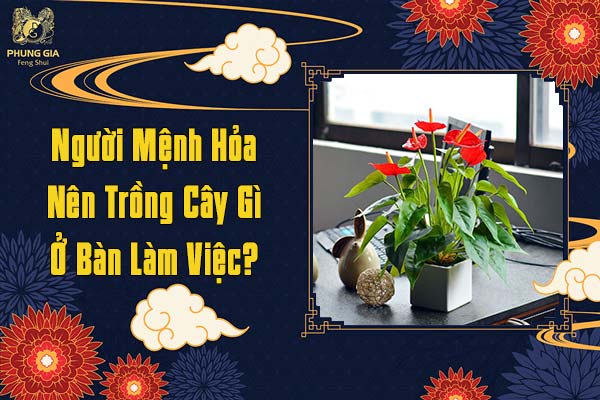 Người Mệnh Hỏa Nên Trồng Cây Gì Ở Bàn Làm Việc