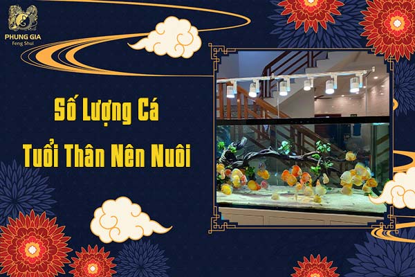 Số Lượng Cá Tuổi Thân Nên Nuôi