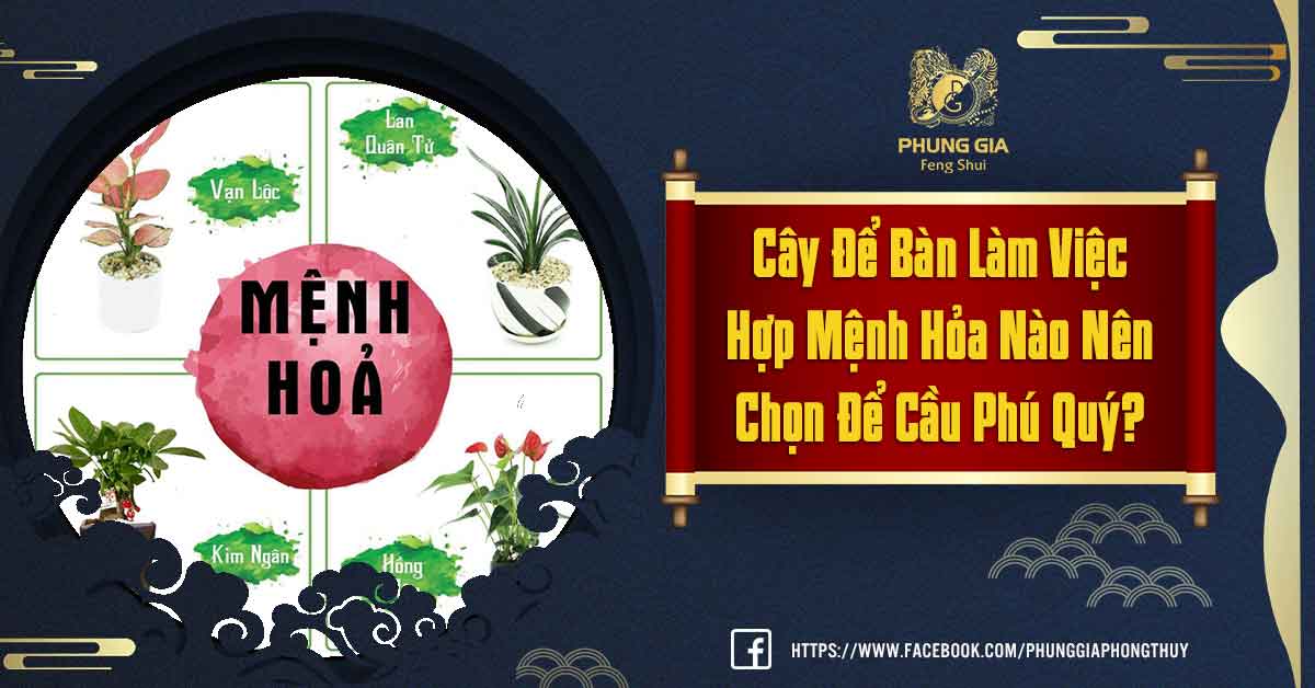 Cây Để Bàn Làm Việc Hợp Mệnh Hỏa