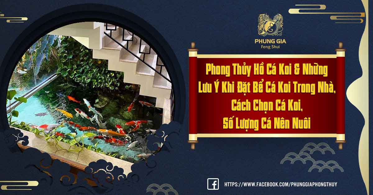 Phong Thủy Hồ Cá Koi