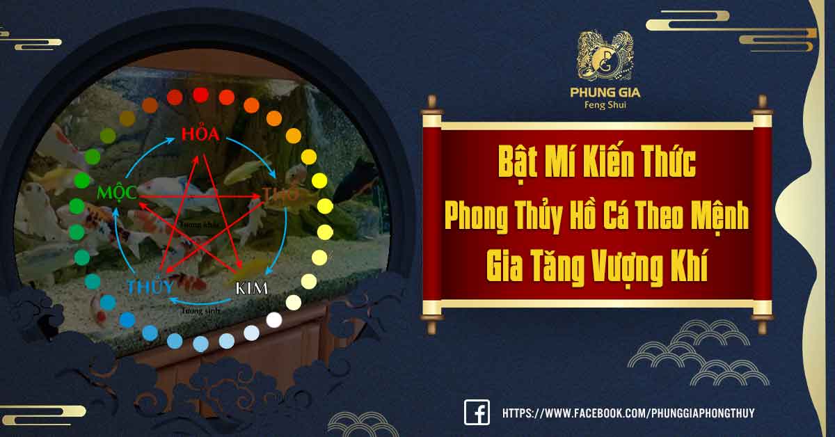 Phong Thủy Hồ Cá Theo Mệnh