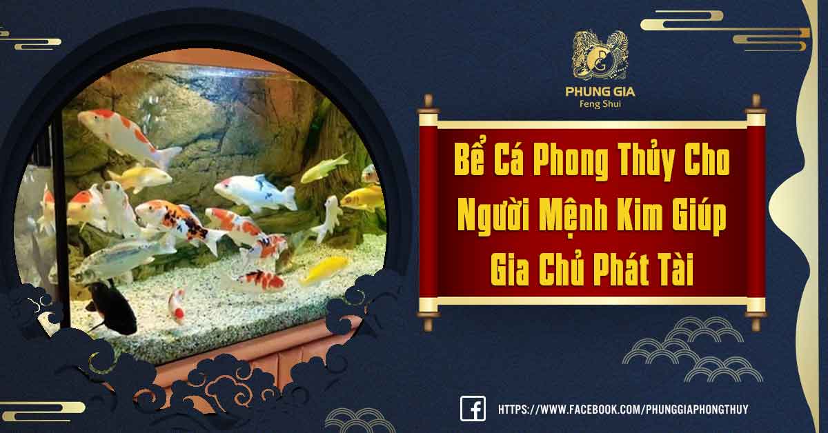 Bể Cá Phong Thủy Cho Người Mệnh Kim