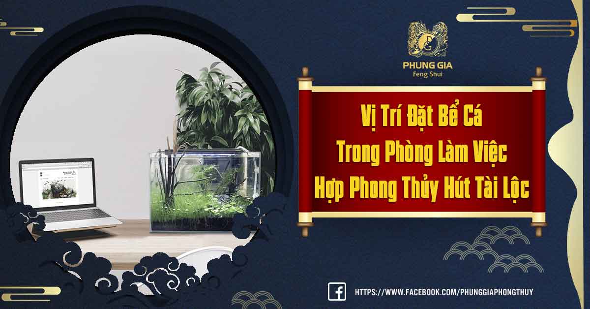 Vị Trí Đặc Bể Cá Trong Phòng Làm Việc