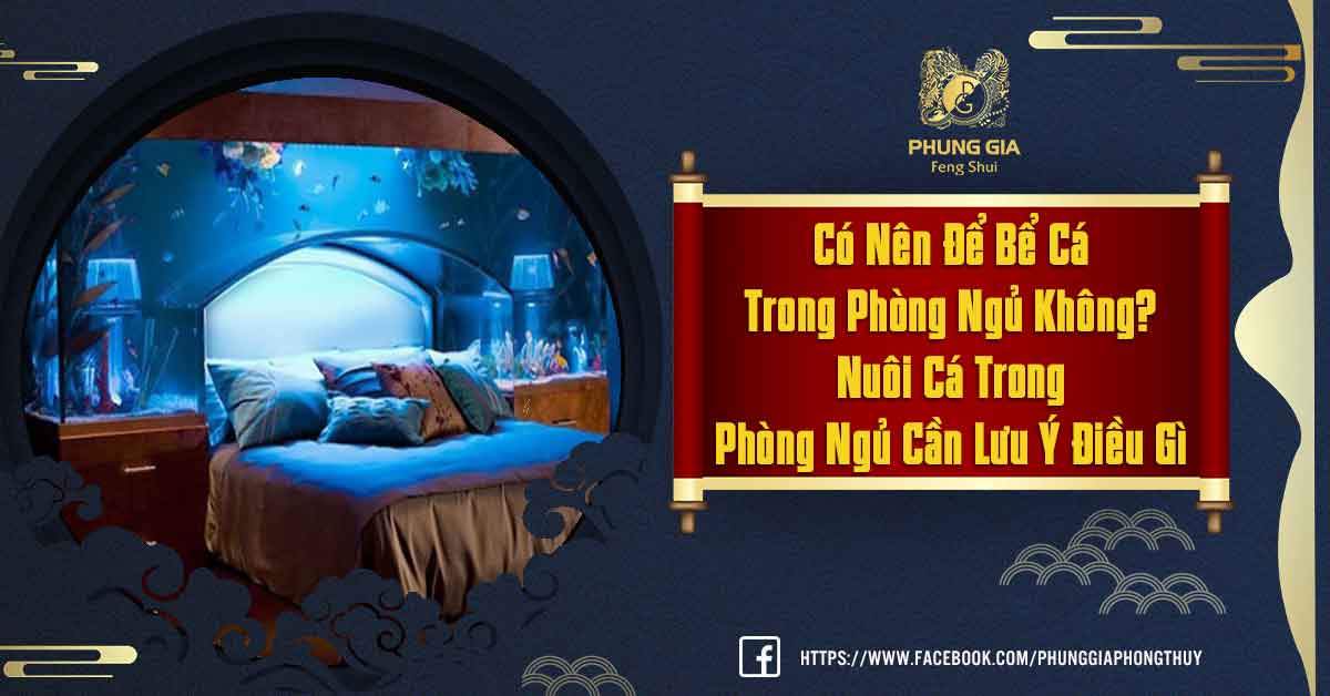 Nuôi Cá Trong Phòng Ngủ