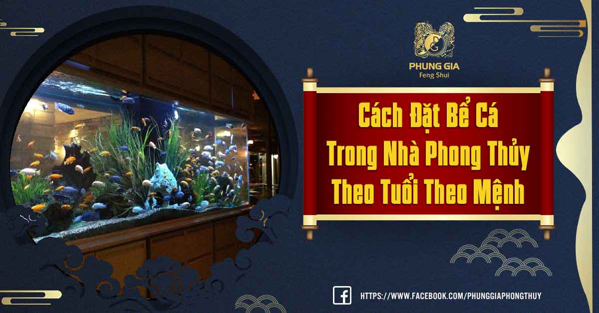 Cách Đặt Bể Cá Trong Nhà Phong Thủy