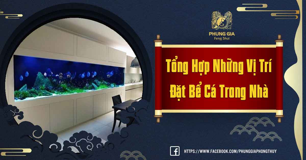Vị Trí Đặt Bể Cá Trong Nhà
