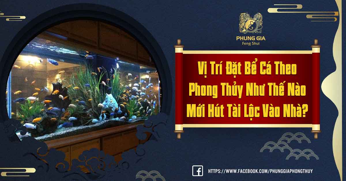 Vị Trí Đặt Bể Cá Theo Phong Thủy