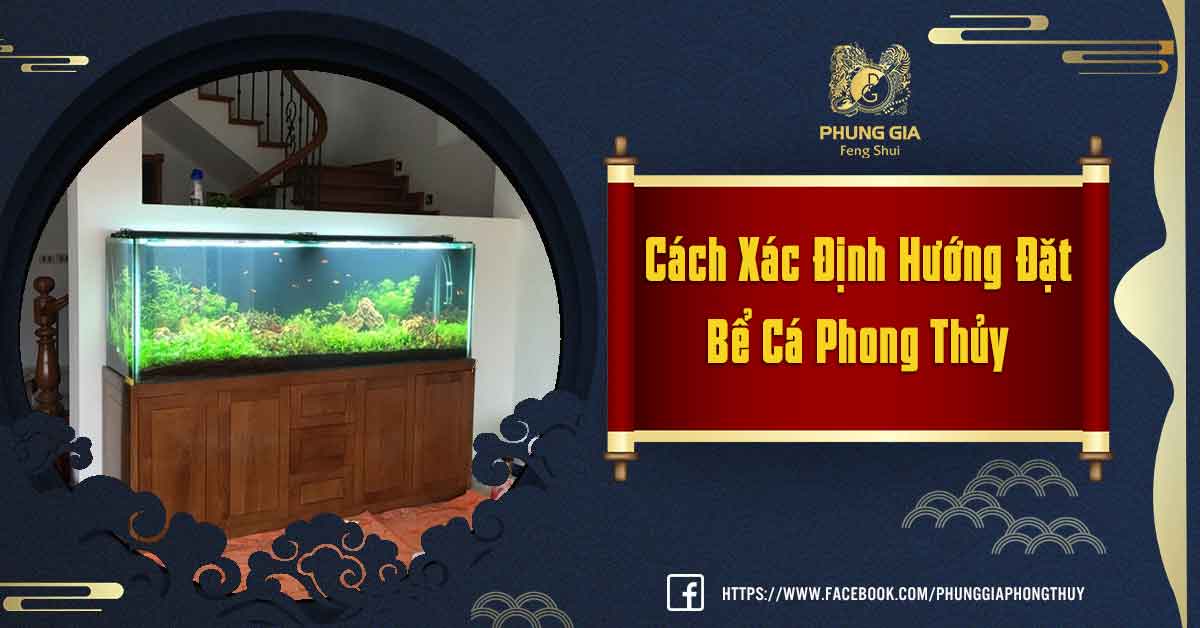 Hướng Đặt Bể Cá