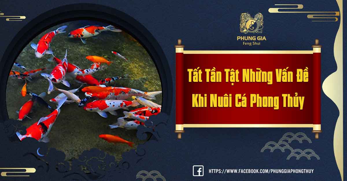 Nuôi Cá Phong Thủy