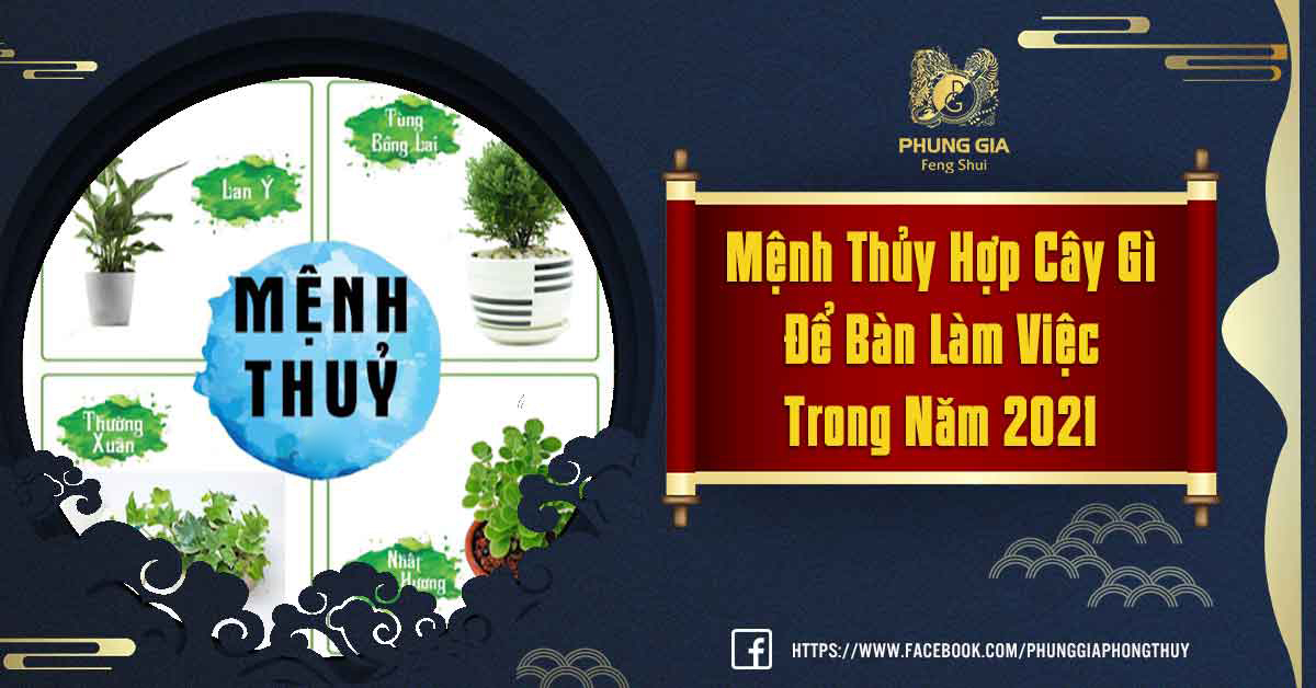 mệnh thuỷ hợp cây gì để bàn làm việc
