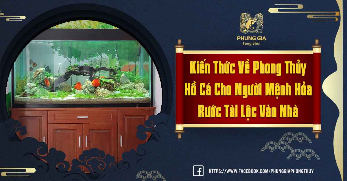 Phong Thủy Hồ Cá Cho Người Mệnh Hỏa