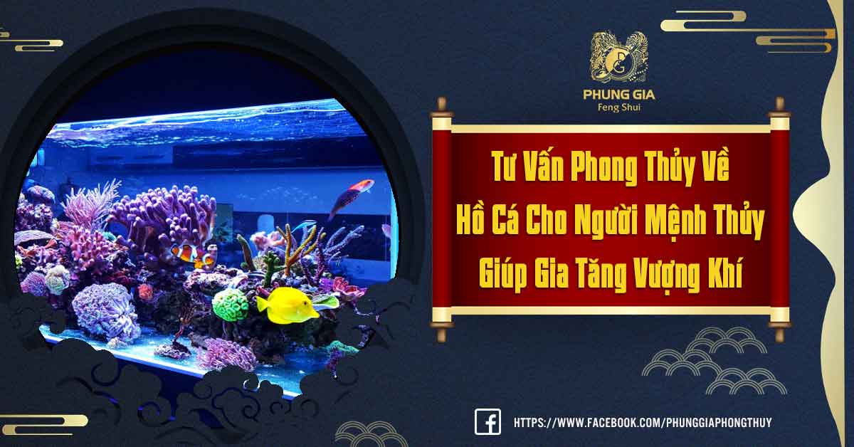 Phong Thủy Hồ Cá Cho Người Mệnh Thủy
