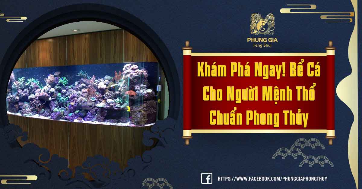 Bể Cá Cho Người Mệnh Thổ