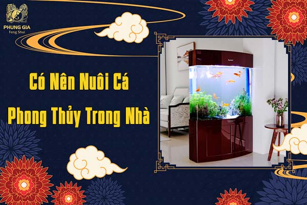 Có Nên Nuôi Cá Phong Thủy Trong Nhà