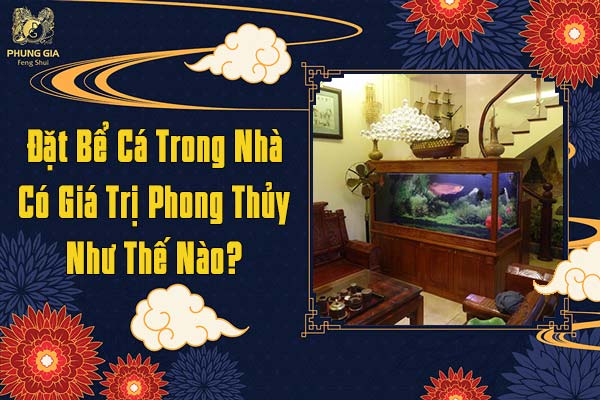 Đặt Bể Cá Trong Nhà Có Giá Trị Phong Thủy Như Thế Nào