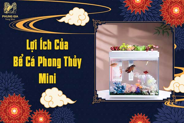 Lợi Ích Của Bể Cá Phong Thủy Mini