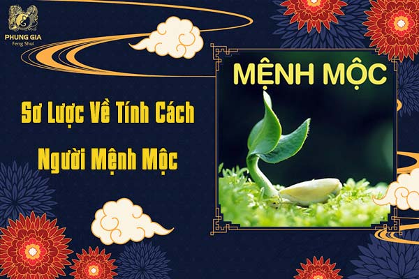 Sơ Lược Tính Cách Người Mệnh Mộc