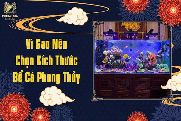 Vì Sao Nên Chọn Kích Thước Bể Cá Phong Thủy