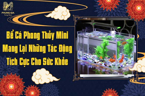 Bể Cá Phong Thủy Mini Mang Lại Những Tác Động Tích Cực Sức Khỏe