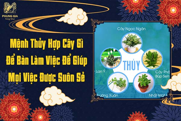 Mệnh Thủy Hợp Cây Gì Để Bàn Làm Việc Để Giúp Mọi Việc Được Suôn Sẻ