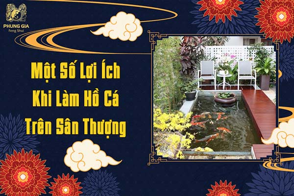 Một Số Lợi Ích Khi Làm Hồ Cá Trên Sân Thượng