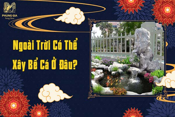 Ngoài Trời Có Thể Xây Bể Cá Ở Đâu