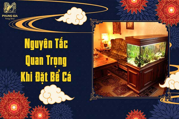 Nguyên Tắc Quan Trọng Khi Đặt Bể Cá