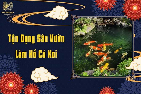Tận Dụng Sân Vườn Làm Hồ Cá Koi