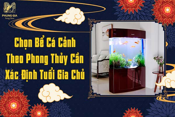 Chọn Bể Cá Cảnh Theo Phong Thủy Cần Xác Định Tuổi Gia Chủ