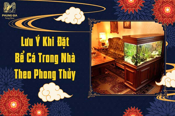 Lưu Ý Khi Đặt Bể Cá Trong Nhà Theo Phong Thủy