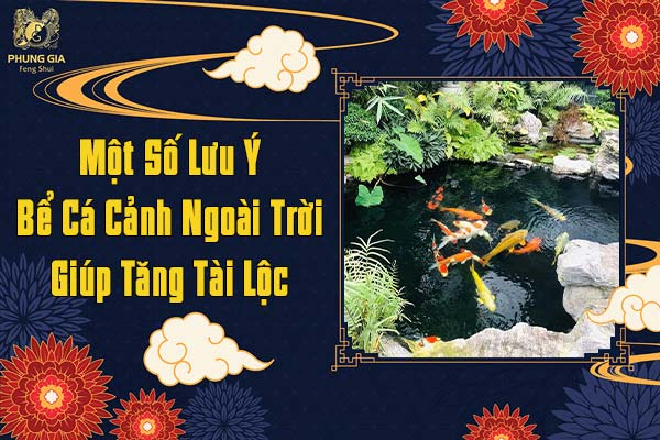 Một Số Lưu Ý Bể Cá Cảnh Ngoài Trời Giúp Tăng Tài Lộc
