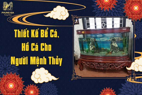 Thiết Kế Bể Cá Hồ Cá Cho Người Mệnh Thủy
