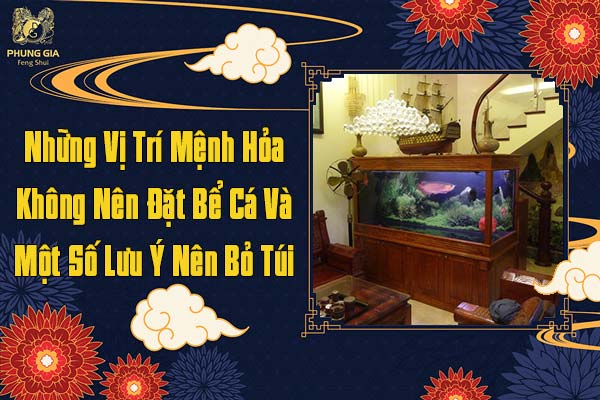 Vị Trí Mệnh Hỏa Không Nên Đặt Bể Cá Và Một Số Lưu Ý Nên Bỏ Túi