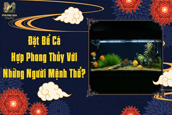 Đặt Bể Cá Hợp Phong Thủy Với Những Người Mệnh Thổ